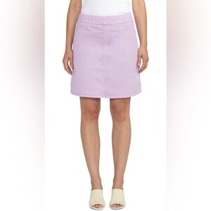 Lavender Women's Skirt